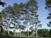 collegeville22