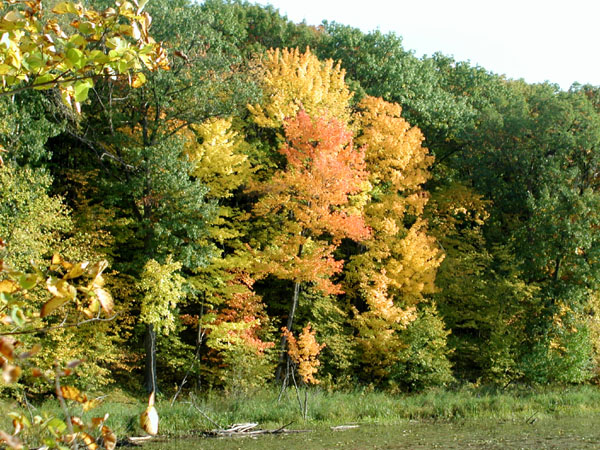 collegeville1