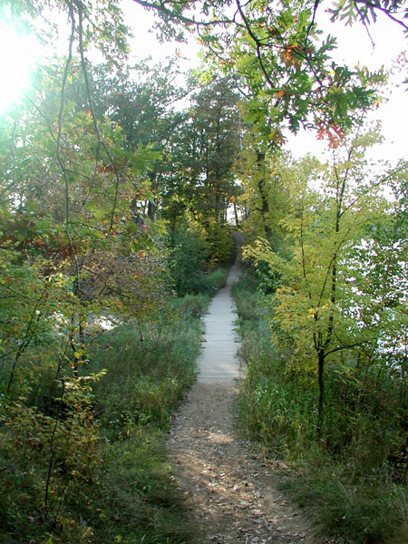 collegeville20