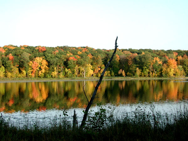 collegeville58
