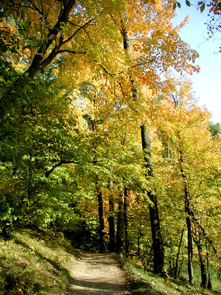 collegeville8