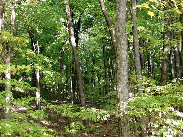 collegeville9