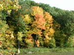 collegeville1