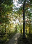 collegeville19
