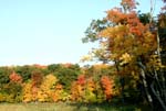 collegeville39