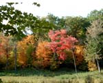 collegeville5