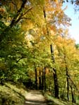 collegeville8