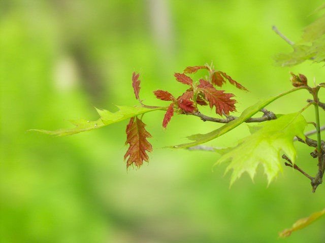 10.jpgw640h480