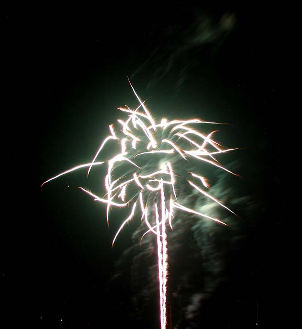 Fireworks113R